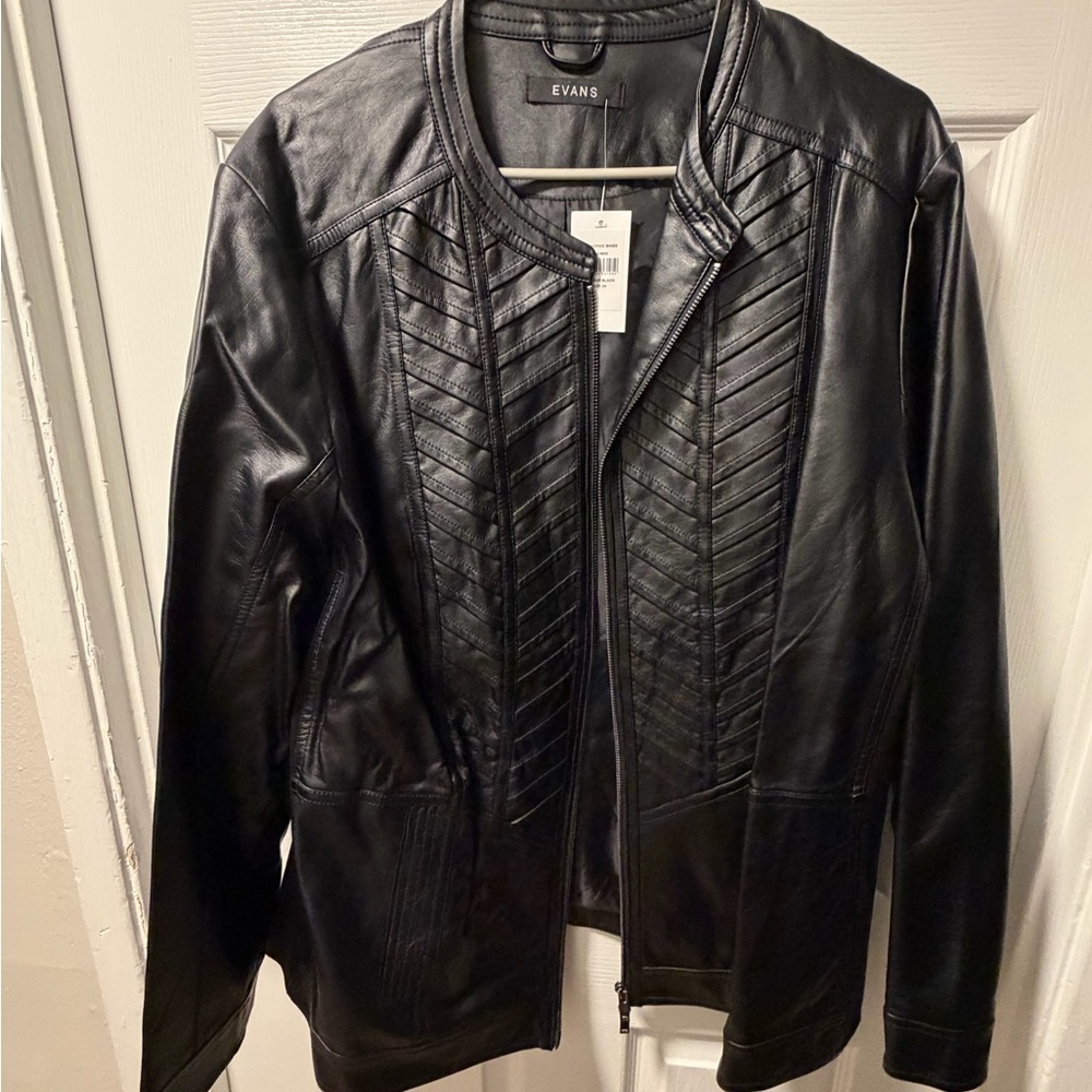 Evans Faux Leather Moto Jacket Sz 24